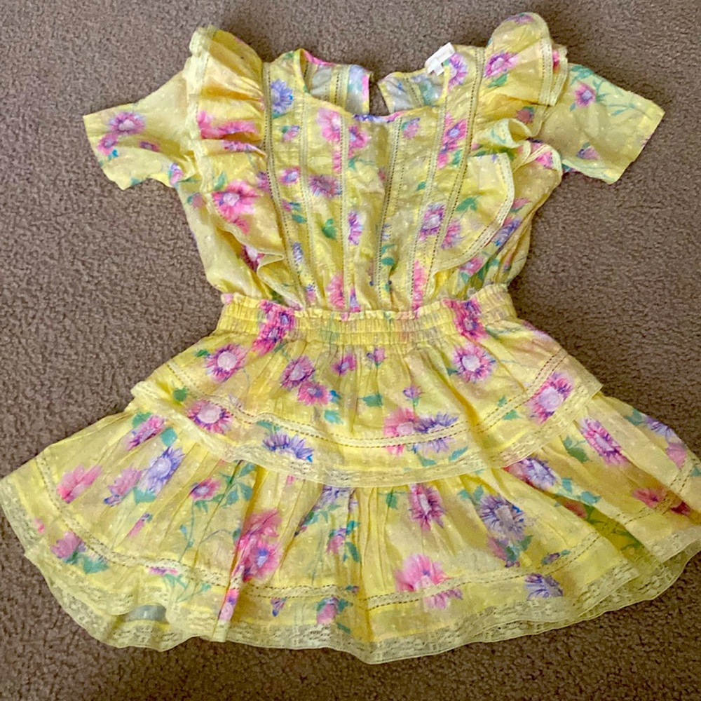 Natasha Ruffle Mini Fit and Flare Dress